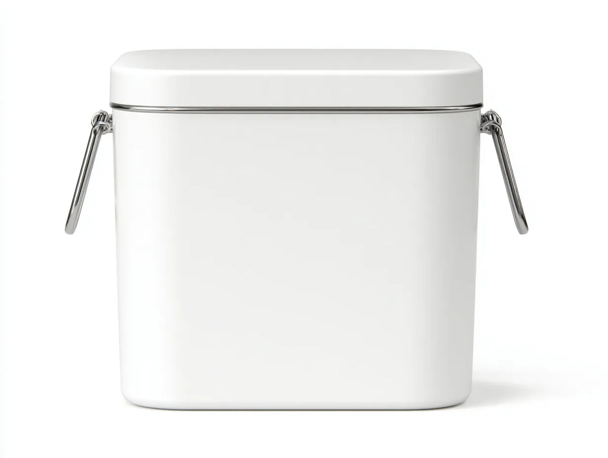 Scatola isolata da esterno in plastica 48×34×42 cm - bianco argento - contenitore termico con maniglie pieghevoli